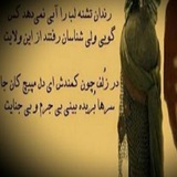 Telegram profile photo for رندان تشنه لب