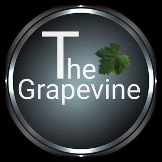 Telegram profile photo for The Grapevine