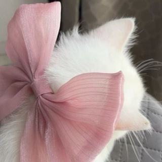 Telegram profile photo for 𝟐𝟒’
