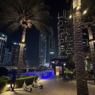 Telegram profile photo for $