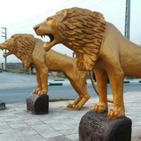 Telegram profile photo for Janatmakancity
