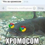 Telegram profile photo for Пары СОМиКОв 🐺