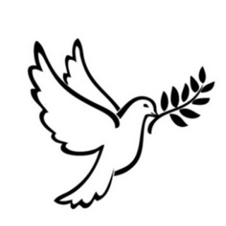 Telegram profile photo for GOLUBKOV Economics
