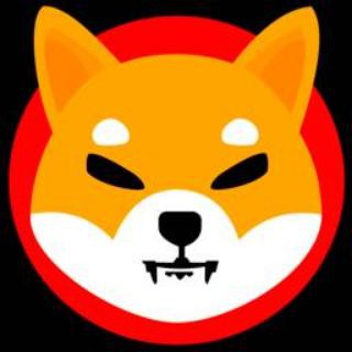 Telegram profile photo for Shiba inu