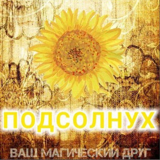 Telegram group profile photo for Подсолнухи