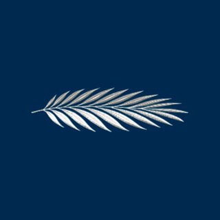 Telegram profile photo for Nosotros En Marcha