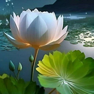 Telegram profile photo for CMGW Dhamma Channel