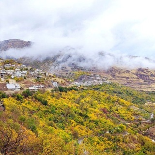 Telegram profile photo for روستای دشه/دهگاو دشهی