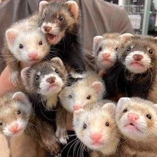 Telegram profile photo for ваші послання️🪐