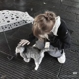 Telegram profile photo for Ручения от Харви