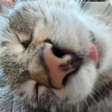 Telegram profile photo for что купить у маси 💅