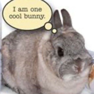 Telegram profile photo for by the flamebun