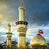 Telegram profile photo for زينب هي صوت الحسين 🕌