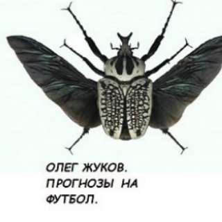 Telegram profile photo for Прогнозы на футбол
