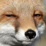 Telegram profile photo for ёбиксы
