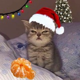 Telegram profile photo for люблю