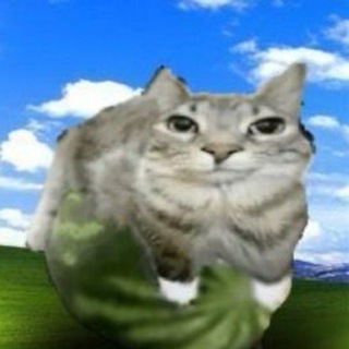 Telegram profile photo for Саня вне тумбочки.