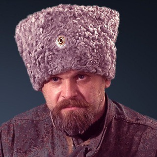 Telegram profile photo for Комбриг Алексей Мозговой