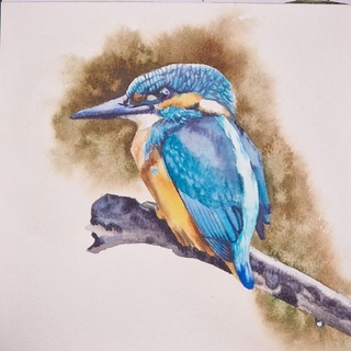 Telegram profile photo for Lara_and_color • Рисую природу🕊