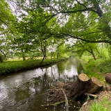 Telegram profile photo for Heilkreis Lüneburger Heide (insp. Kollektives Bewusstsein)