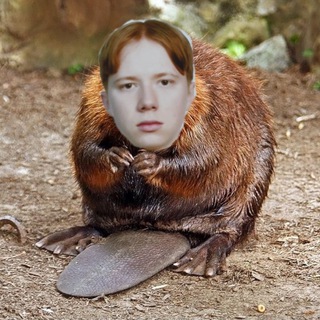 Telegram profile photo for Сибирский бобер