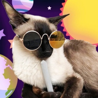Telegram profile photo for porches