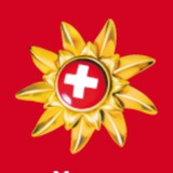 Telegram profile photo for SCIBnews