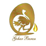 Telegram profile photo for GoharBaran