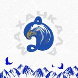 Telegram profile photo for DYNAMO NEWS 1927