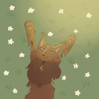 Telegram profile photo for поляна кудряшки ☀️🖼