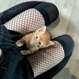 Telegram profile photo for Переходник