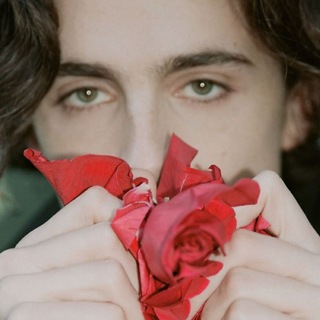 Telegram profile photo for Bunny Chalamet