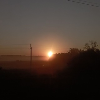 Telegram profile photo for 🌅 🎶 Eyra Music 🎶🌗