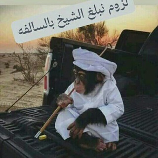 Telegram profile photo for نهفات شاوي مزيون👌😂