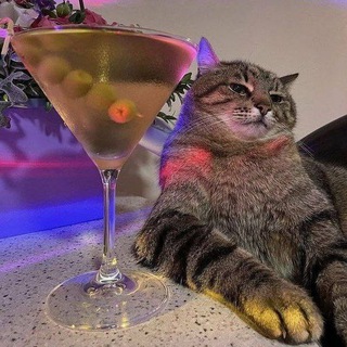 Telegram profile photo for 𝓠𝓻𝓾𝔃 𝓝𝓸𝓽🥂