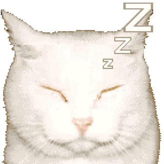 Telegram profile photo for •.¸♡ᵴcɦíž𝚘𝙥𝘩ŕᶓ𝑛íǟ♡¸.•🪱