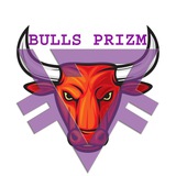 Telegram profile photo for BULLS PRIZM
