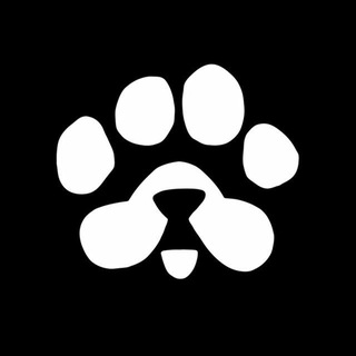 Telegram profile photo for PAWS Community