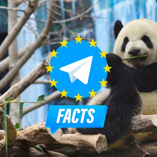Telegram profile photo for WWF World Wildlife Fund on Telegram by GRT : World Wide Fund for Nature / Fondo Mundial para la Naturaleza