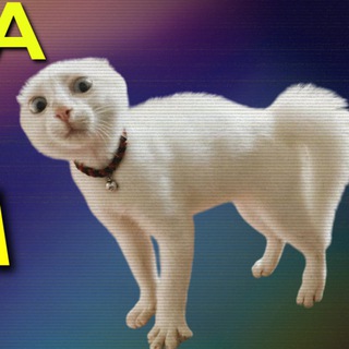Telegram profile photo for seriously, shit (51к/300к)