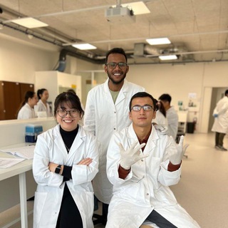 Telegram profile photo for Scholarships in the world