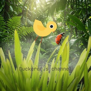 Telegram profile photo for Duck🫧r🌐r