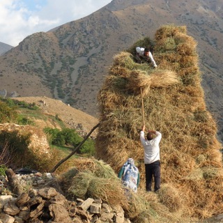 Telegram profile photo for کانال خبر اويندين.