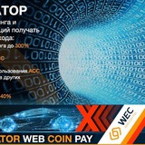 Telegram profile photo for Проекты которые дают профит🤑