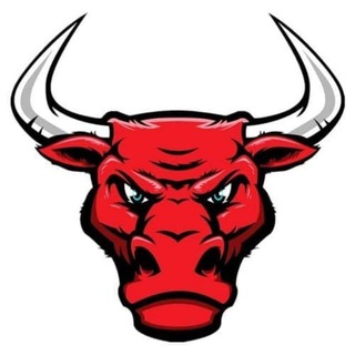 Telegram profile photo for 🥇💵red bull 💵 🔴 official 🟠✨️