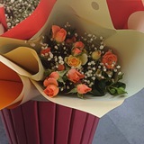 Telegram profile photo for ✨️گُلنآز