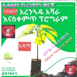 Telegram profile photo for 16/2006ዓ.ም በጎ አድራጎት ማህበር