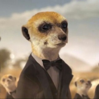 Telegram profile photo for بخور حرف نزن