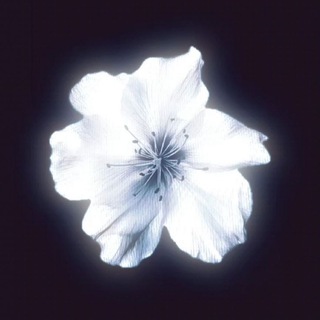 Telegram profile photo for برای بچه ها(متن توییت آماده)