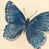 Telegram profile photo for ฦutterfly ๐ฆ๐ฉท